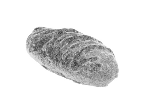 Cream Pastry Eclair Modelo 3D