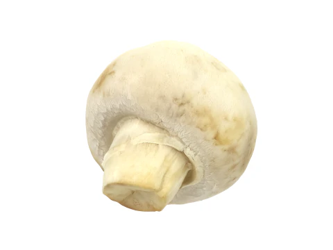 Гриб шампіньйон 3D Модель