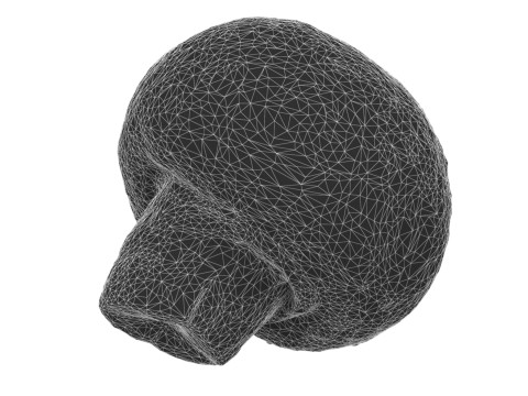 Champignon Mushroom 3Dモデル