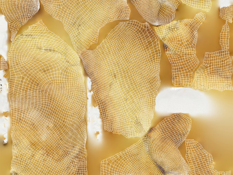 Curd Pastry 3D Модель