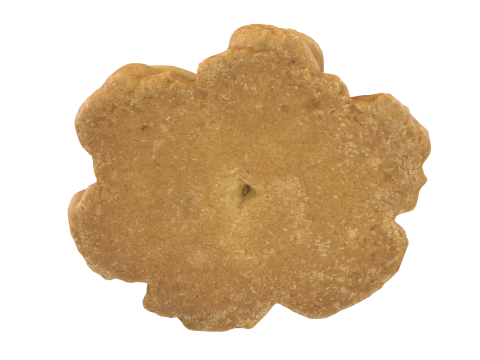 COOKIE Modello 3D