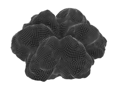 COOKIE Modello 3D
