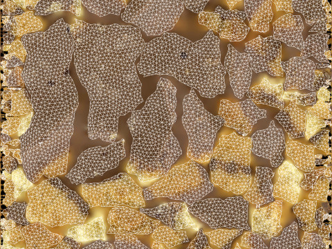 Bitten Cookie Model 3D