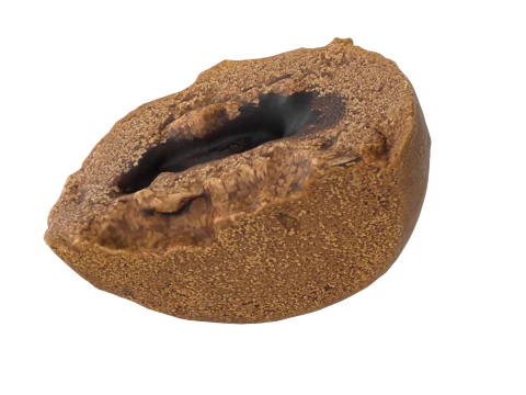 Cut Cookie 3D Model