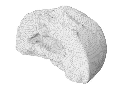 Cut Cookie 3D Модель