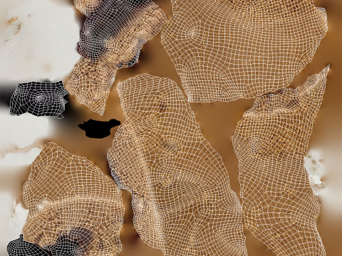 Cut Cookie 3D Модель