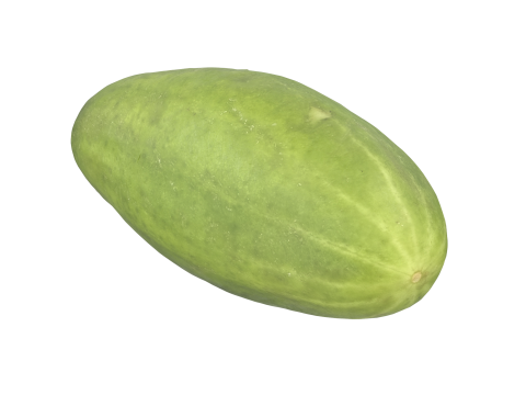 Cucumber 3D Model