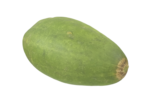 Cucumber 3D Model
