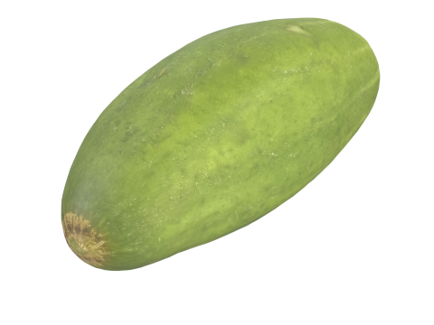 Cucumber 3D Model