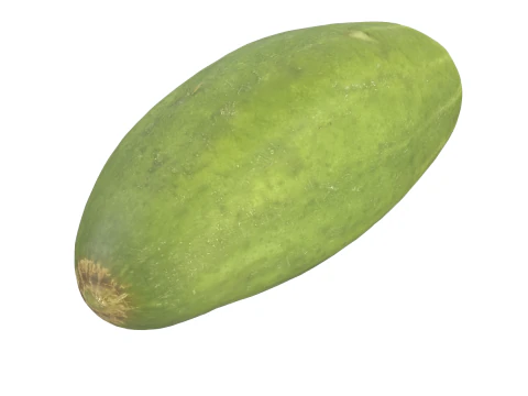 Cucumber 3D Model