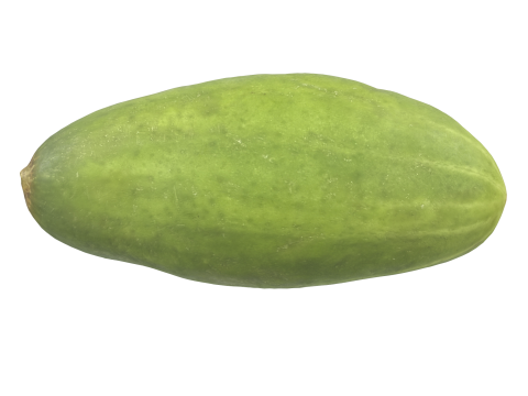Cucumber 3D Model
