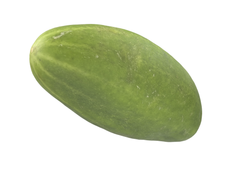 Cucumber 3D Model
