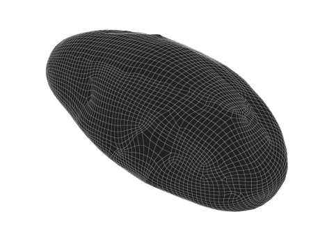 Cucumber 3D Model