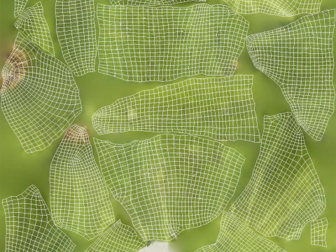 Cucumber 3D Model