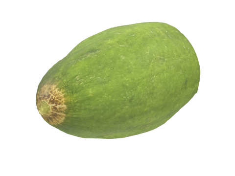 Cut Cucumber Modello 3D