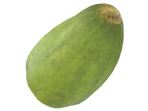 Cut Cucumber 3D Model
