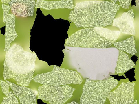 Cut Cucumber Modello 3D