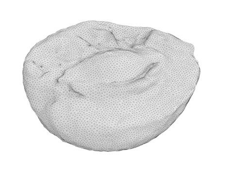 Half Of Apricot 3D Модель