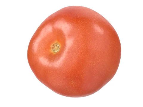 टमाटर 3D मॉडल