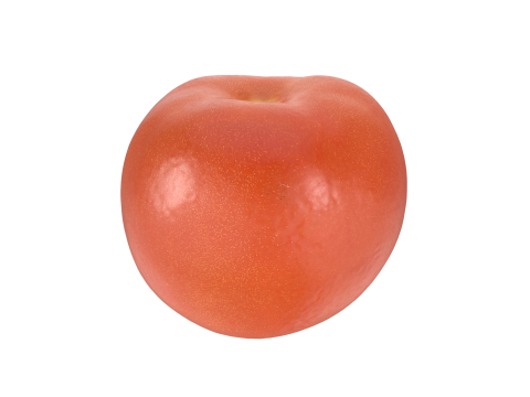 Tomato Model 3D