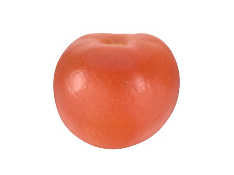Tomato 3D Model