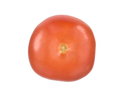 Tomato Model 3D