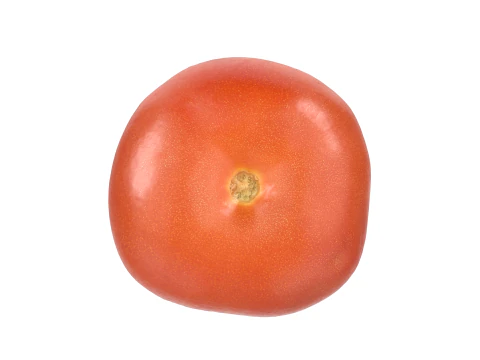 Tomato 3D Model