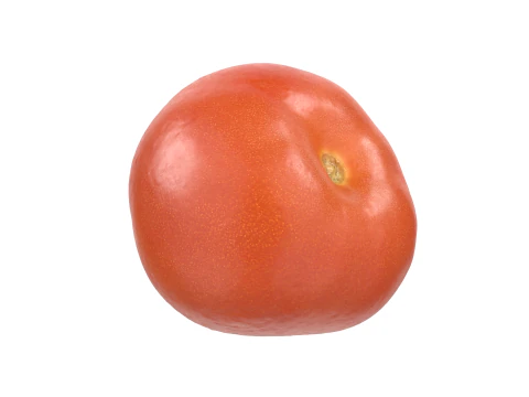 Tomato 3D Model