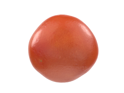 Tomato Model 3D