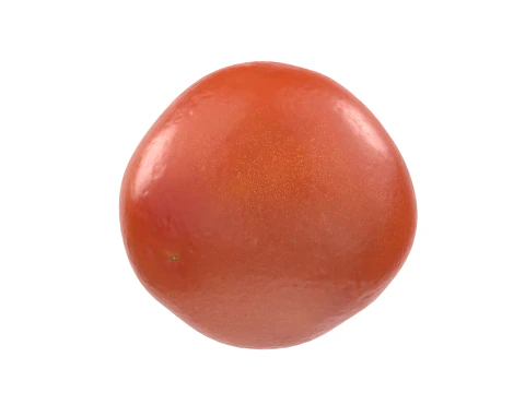 Tomato 3D Model