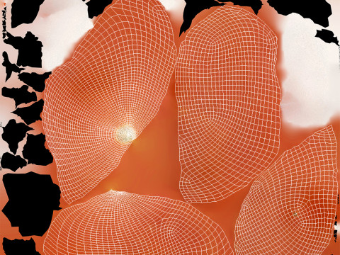 Tomato Model 3D
