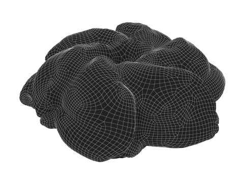 Cookie Modelo 3D