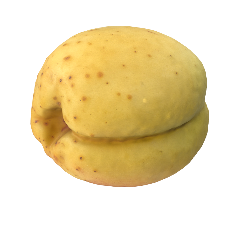 Apricot 2 Modèle 3D .c4d .max .obj .3ds .fbx .stl .blend