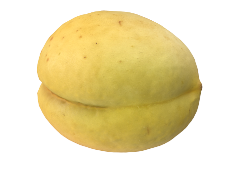 Apricot 2 Modèle 3D