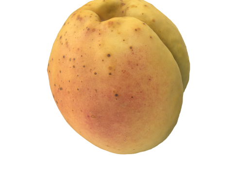 Apricot 2 Modèle 3D