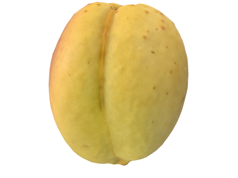 Apricot 2 Modèle 3D