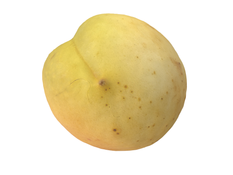 Apricot 2 Modèle 3D