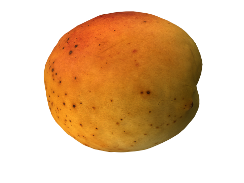 Apricot 2 Modèle 3D