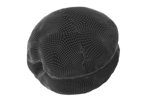 Apricot 2 Modèle 3D