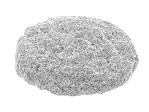 Cookie With Candys 3D Model