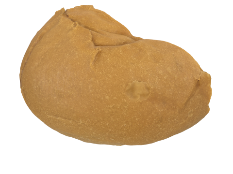 Cut Bun 3D Модель