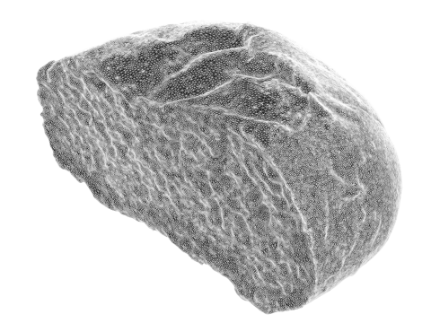 Cut Bun 3D Модель