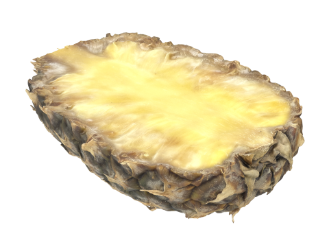 Cut Pineapple 3D Model