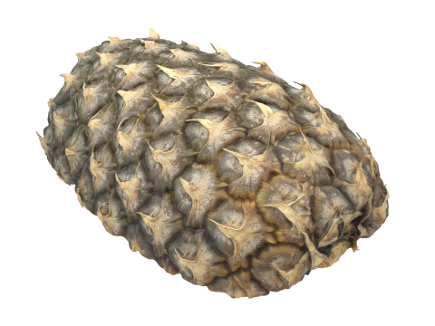 Cut Pineapple 3D Model