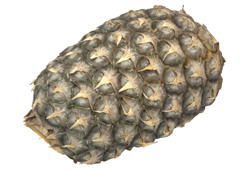 Cut Pineapple 3D Model