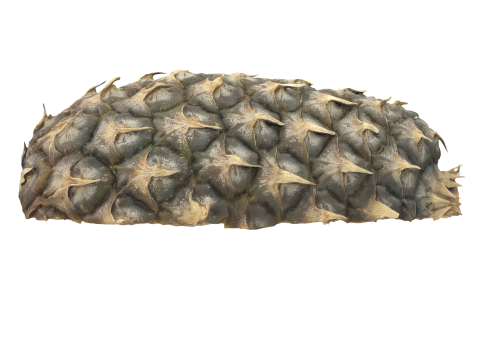 Cut Pineapple 3D Model