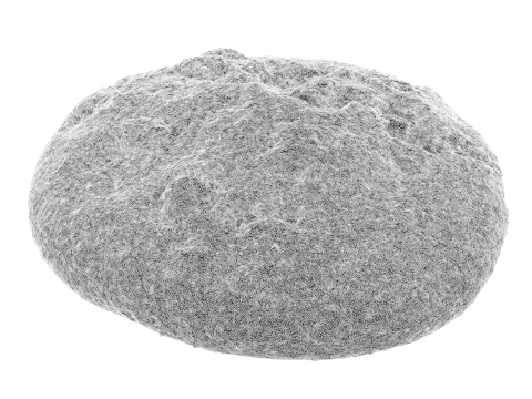 Cookie Model 3D