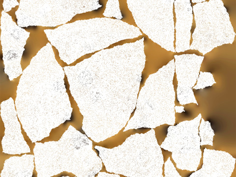 Cookie Model 3D