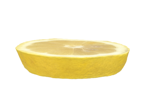 Lemon Slice 3D 模型