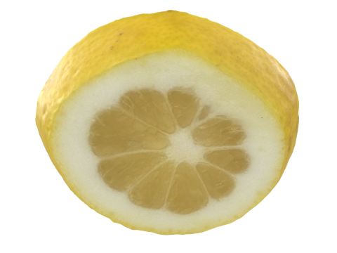 Lemon Slice 3D 模型